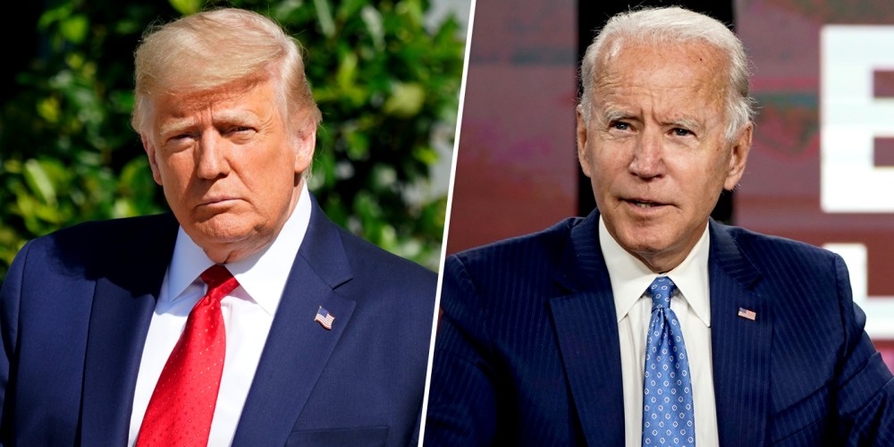 Image: Donald Trump Joe Biden