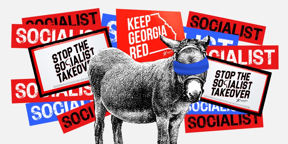 Image: A donkey will a blue blindfold is surrounded by protest signs that read,"Socialist", "Don't let the socialist takeover" and "Keep Georgia Red".