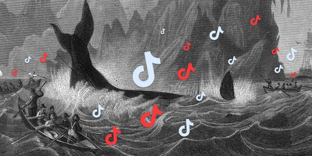 An engraving of men in small row boats surrounding a whale spearing it with harpoons superimposed by red and light blue musical notes.