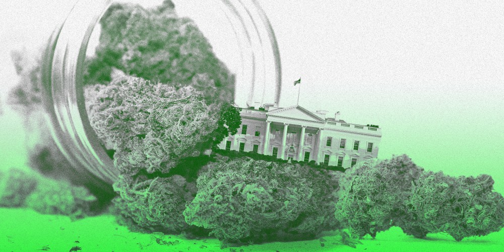 Photo illustration of marijuana spilling out of an open jar and a the White House in the middle of it.