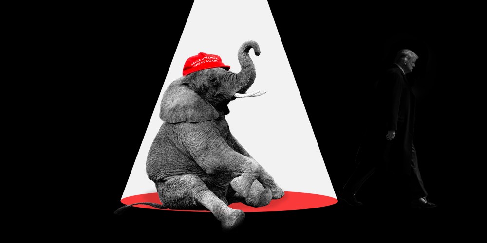 Photo illustration: An elephant sits under the spotlight wearing a red hat that reads,"Make America Great Again" as Donald Trump walks into the shadow..