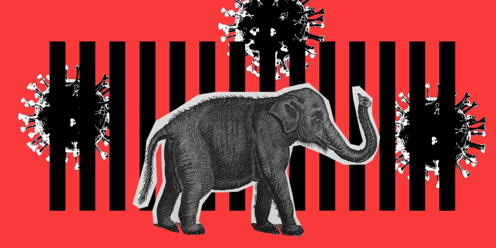 Photo illustration: A cut out of an elephant walking on one side of a fence. Covid spores are floating on the other side.