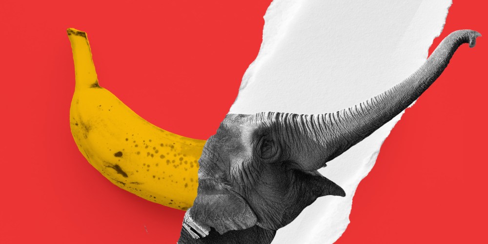 Photo illustration: An elephant head emerging from a ripped part of a red paper with a photo of a banana.