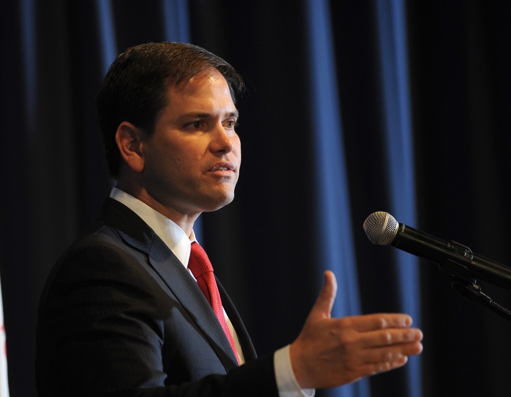 Sen. Marco Rubio (R-Fla.) (Photo by Steve Pope / Getty Images)