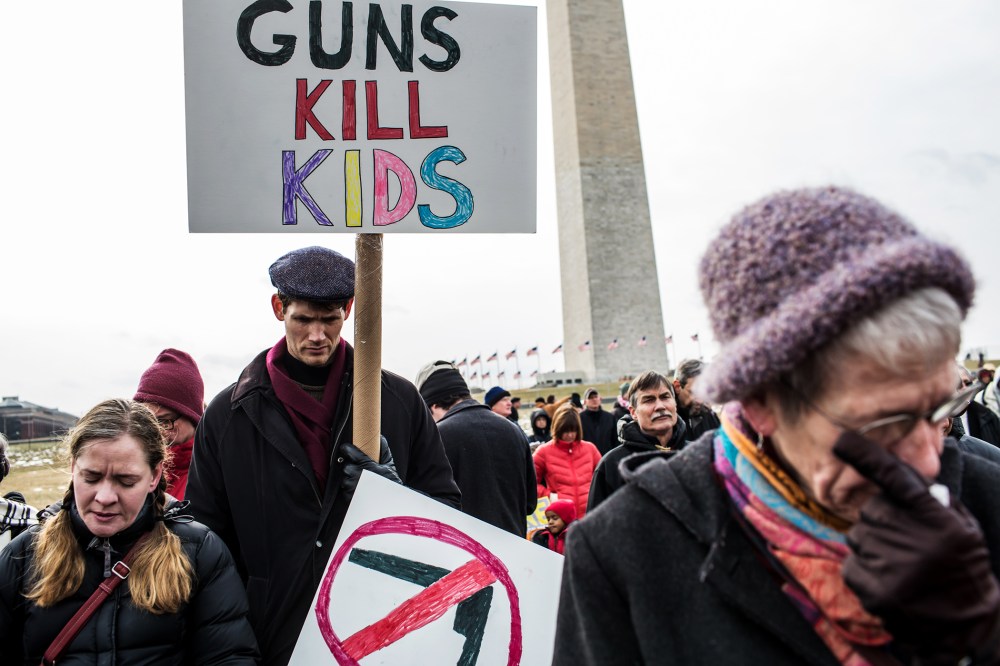 Activisits participate in a rally on the National Mall for stricter gun control laws on Jan. 26, 2013.