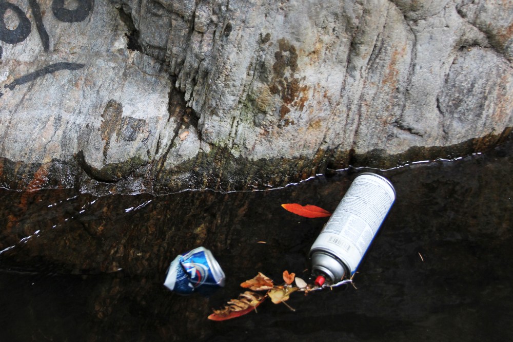 Vandals Target Los Angeles Area National Forests