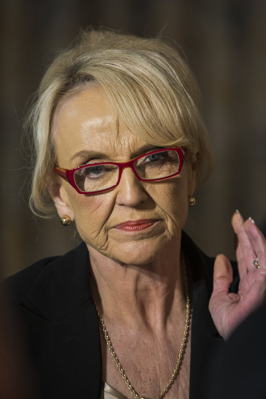 Image: AZ Gov. Jan Brewer