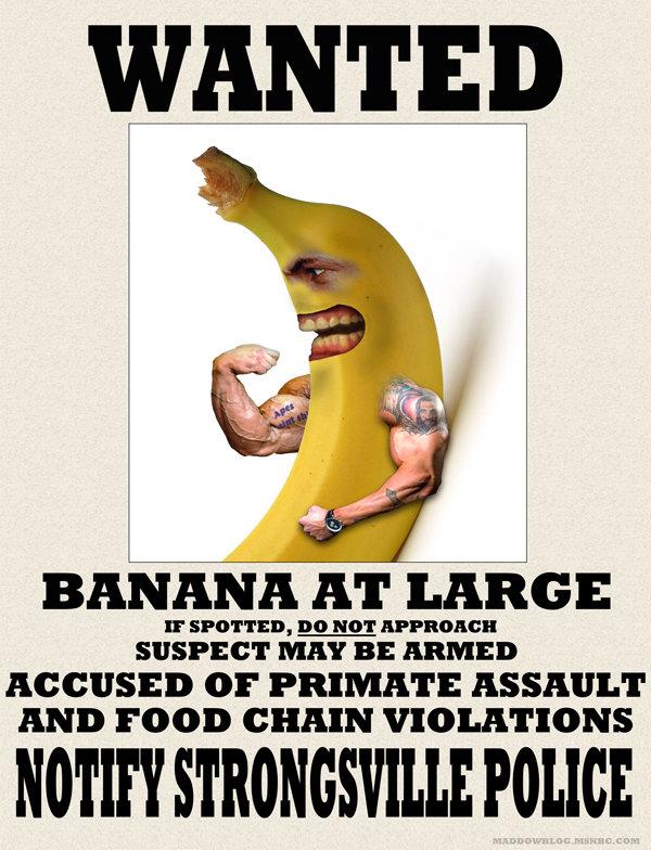 Be on the lookout