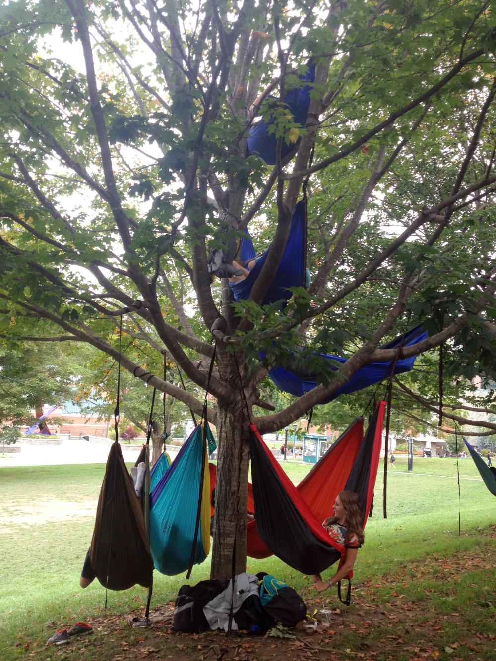 They call it 'hammocking'