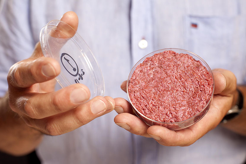 A lab-grown meat burger made from Cultured Beef, which has been developed by Professor Mark Post of Maastricht University in the Netherlands.  Issue date: Monday August 5, 2013. Cultured Beef could help solve the coming food crisis and combat climate...