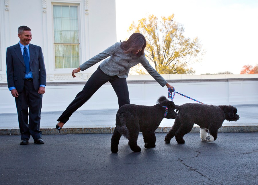 Michelle Obama is pulled away by her dogs Bo and Sunny, after welcoming the Official White House Christmas Tree to the White House in Washington, Nov. 27, 2015. (Photo by Pablo Martinez Monsivais/AP)