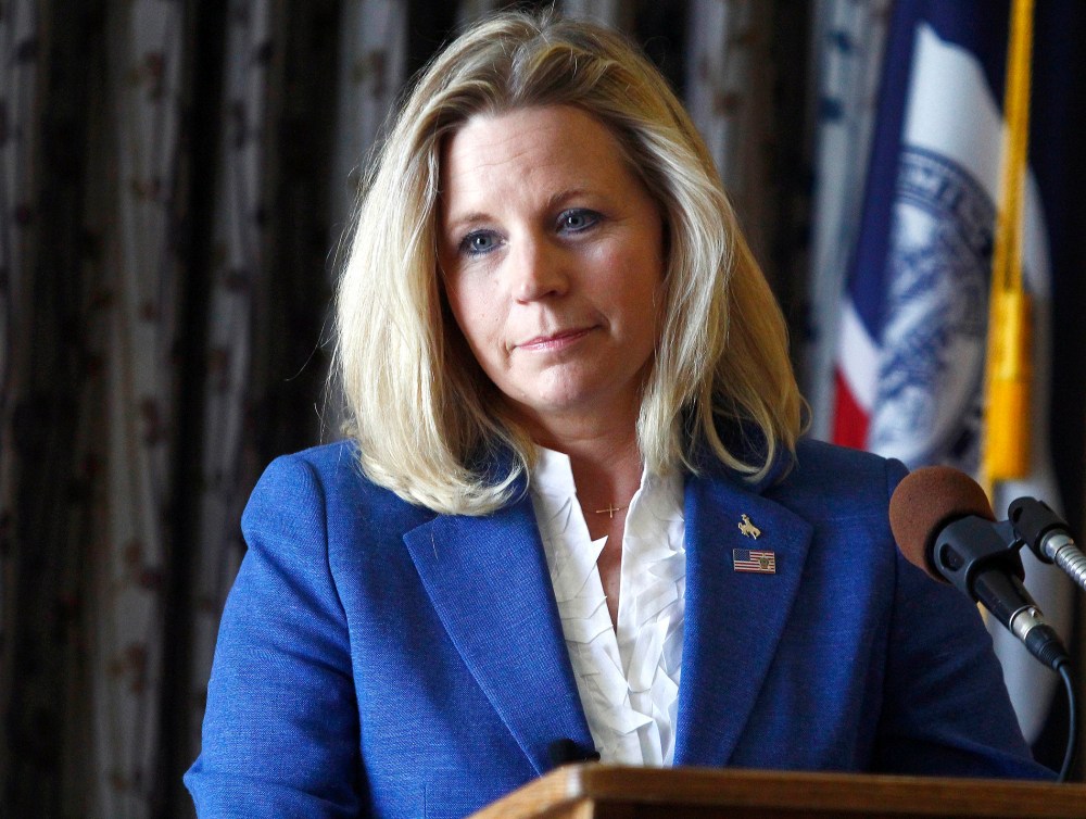 Liz Cheney speaks during a campaign appearance in Casper, Wyo. on July 17, 2013.