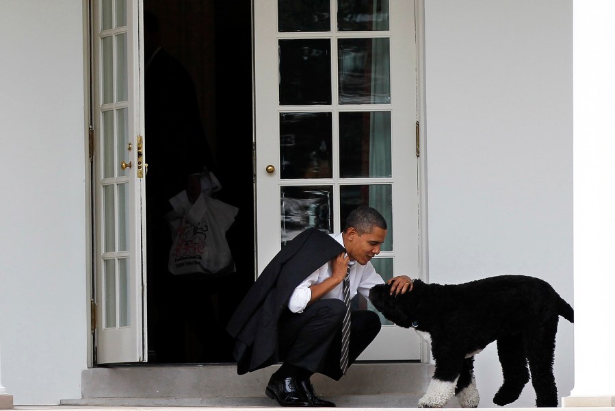 In this March 15, 2012 file photo, President Barack Obama pets the family dog Bo, a Portuguese water dog, outside the Oval Office of the White House in Washington, D.C. (Photo by Pablo Martinez Monsivais/AP)