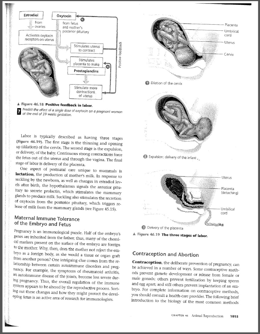Campbell's AP Biology, 9th Edition, page 1015