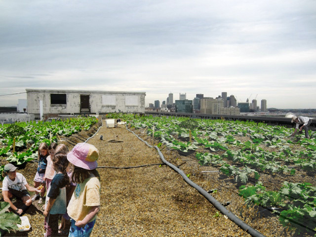 Rendering by Recover Green Roofs, original imagery by Brooklyn Grange Rooftop Farm.(Image by Recover Green Roofs, via Kickstarter)