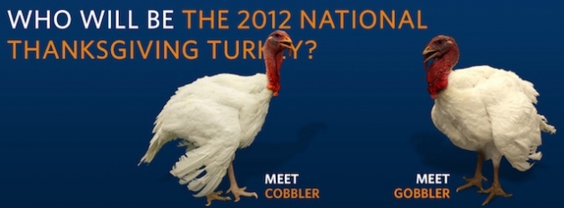 Image from White House Facebook Page