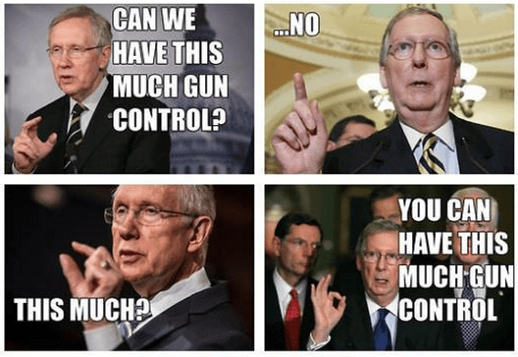 Credit: Team Mitch