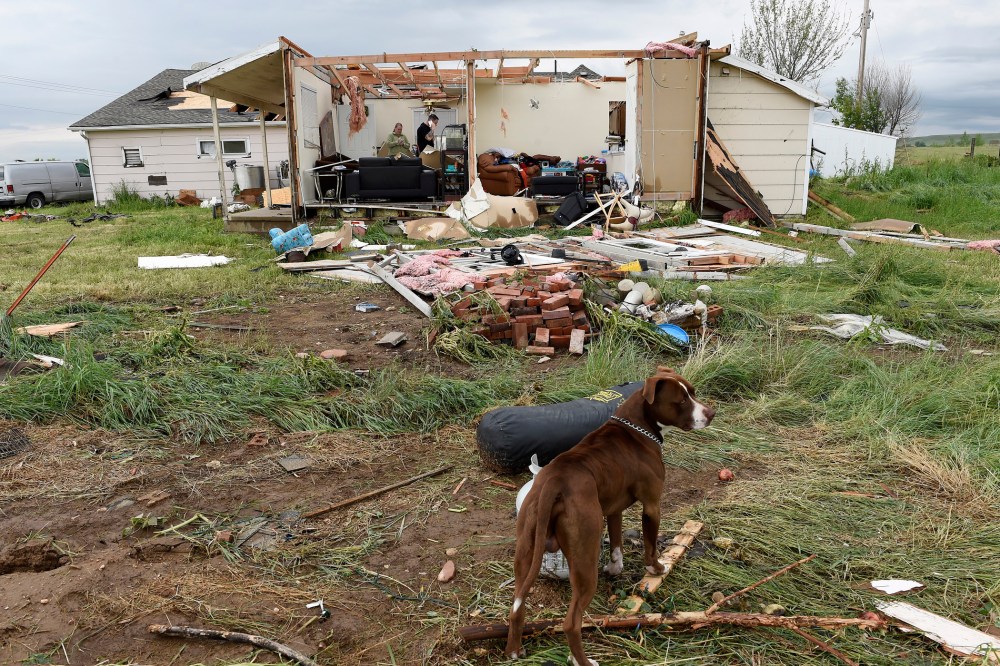 Brandon Scott, inside his home, and his dog Baxter, in front, survey the damage of their home after a tornado ripped through it in Longmont, Colo. on June 5, 2015. (Photo by Helen H. Richardson/The Denver Post/Getty)
