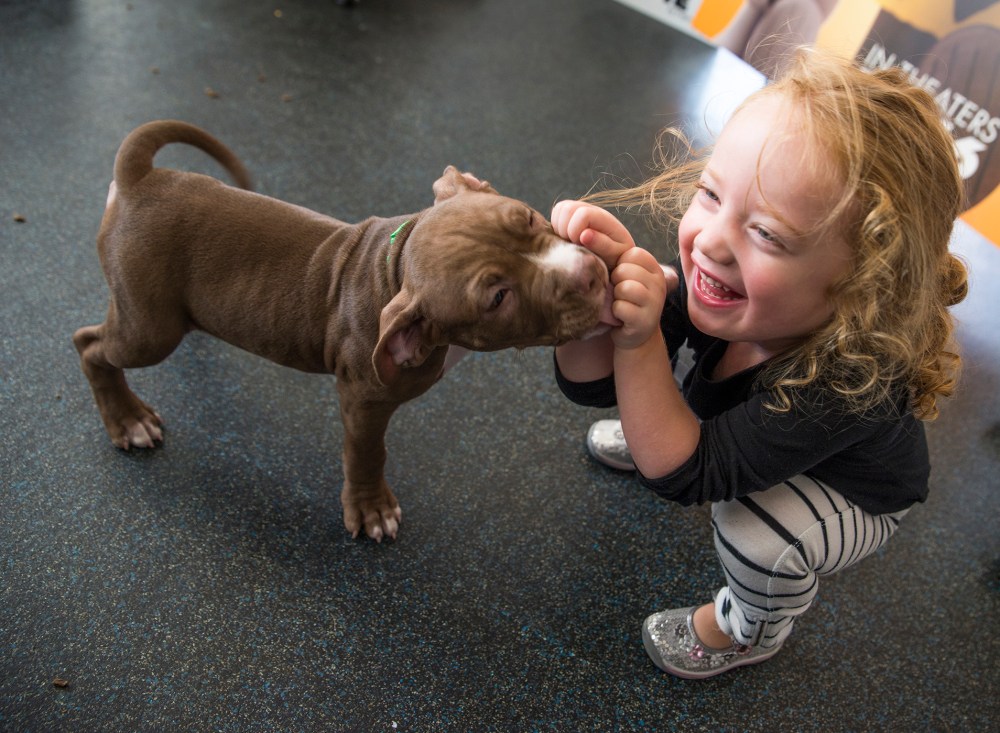 Ruby Cooney, age 3, greets a puppy at ASPCA Adoption Center on Oct. 29, 2015 in New York City. (Photo by Jenny Anderson/WireImage/Getty)