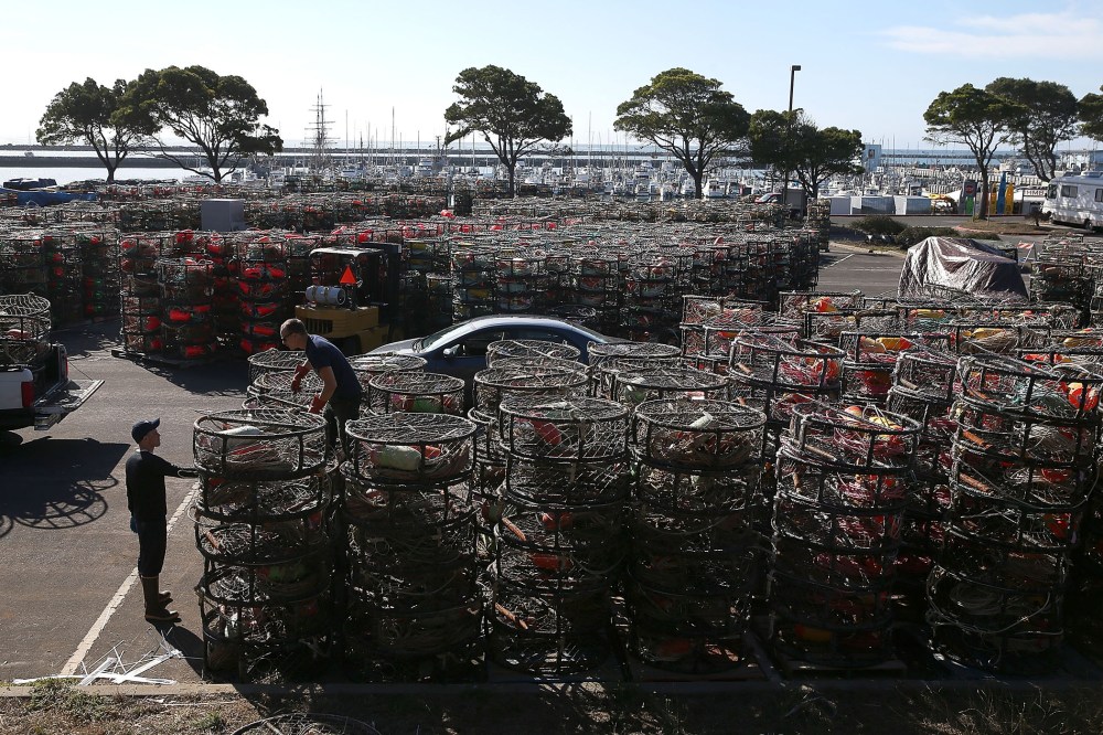Nick White and Chris Swim stack crab traps in the parking lot of the Pillar Point Harbor on Nov. 5, 2015 in Half Moon Bay, Calif. (Photo by Justin Sullivan/Getty)