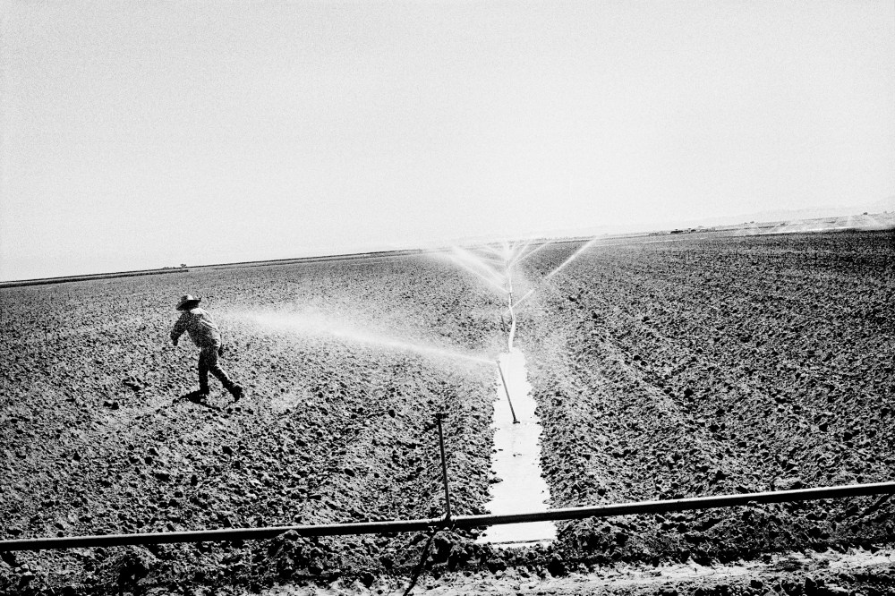 Watering a tomato field in Huron, California. (Photo by Matt Black)