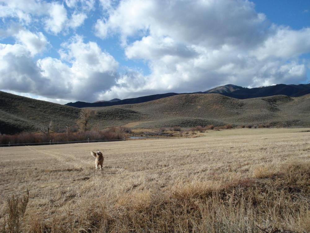 What we have here is a sea of blue dots