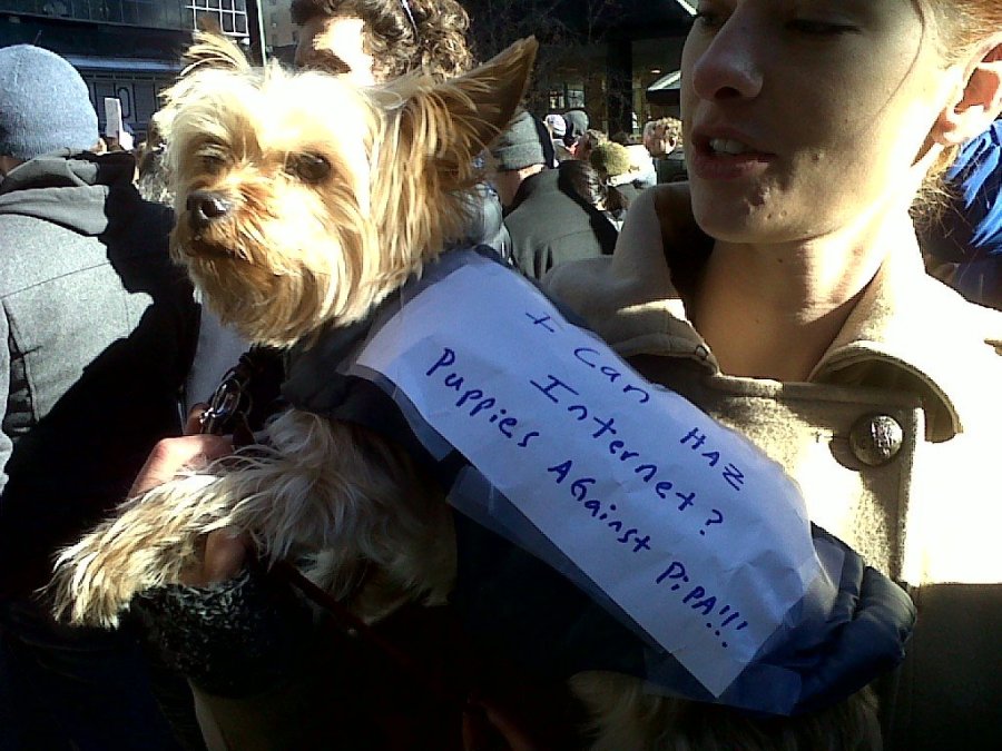 Senator Blunt withdraws sponsorship of PIPA, blames Senator Reid