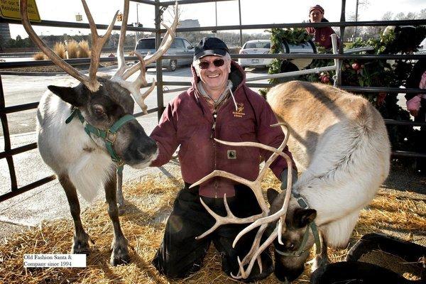 Enter the reindeer herder