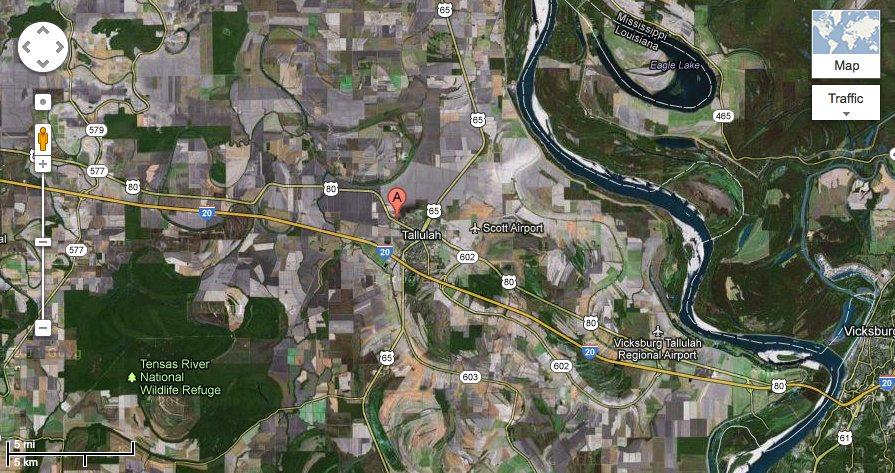 Daiquiris, crickets and fishing for votes