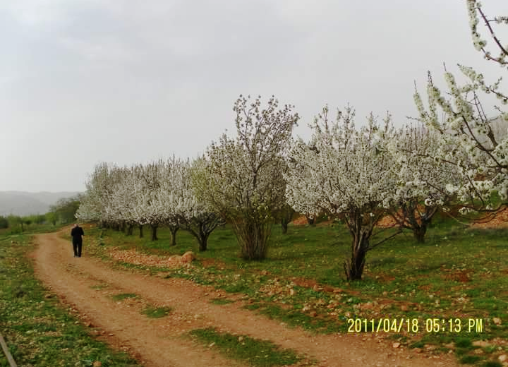 US-based activist Hussein Assaf documented this hillscape in Madaya, Syria, April 18, 2011. (Photo courtesy of Hussein Assaf)