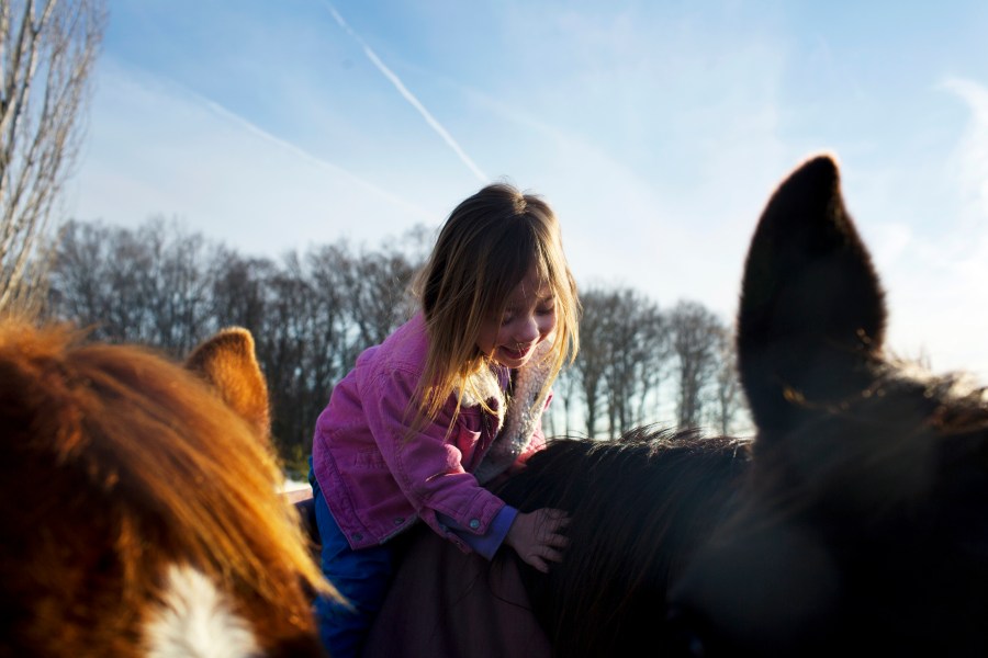 Reagan Moody, 4, pets one of the family horses.