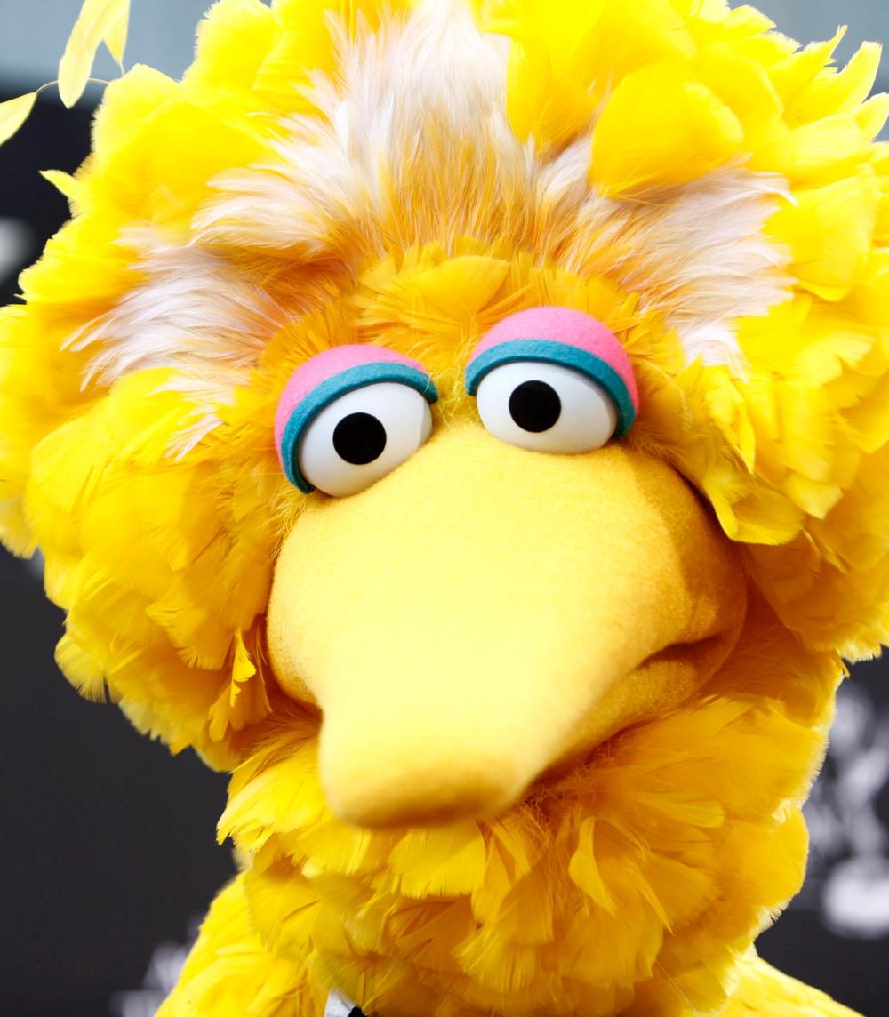 Ruffled Feathers