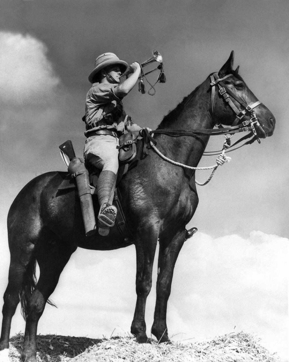 Send in the cavalry!