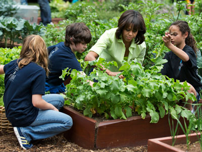 First lady Michelle Obama joins school children to harvest the summer crop from the White House kitchen garden on May 28, 2013 (Photo by Manuel Balce Ceneta/AP)