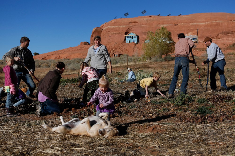Fundamentalist Mormons harvest the community garden along with their children at the Rockland Ranch community outside Moab, Utah, November 3, 2012.
