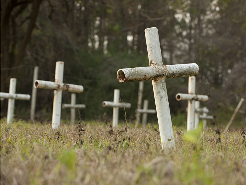 White metal crosses mark graves at the cemetery of the former Arthur G. Dozier School for Boys in Marianna, Florida, December 10, 2012. (Photo by Michael Spooneybarger/Reuters)