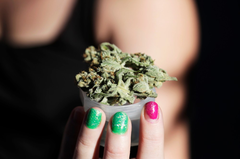A grower holds out a product at the High Times U.S. Cannabis Cup in Seattle, Washington September 8, 2013.