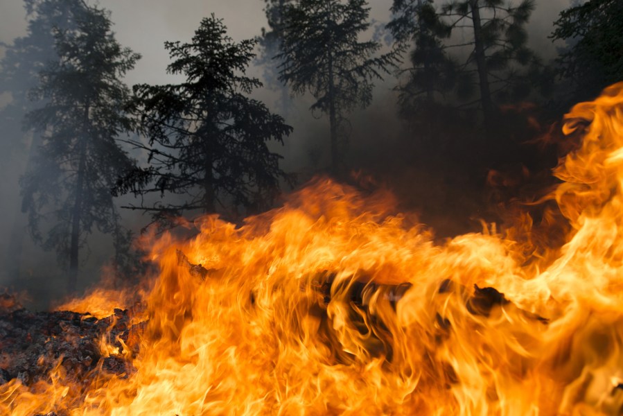 Flames spread through the forest in the Lake Fire in the San Bernardino National Forest, Calif., June 19, 2015. (Photo by David McNew/Reuters)