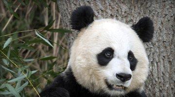 Stay classy, FreedomWorks