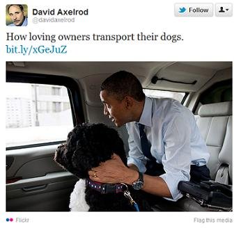 Tuesday's Mini-Report