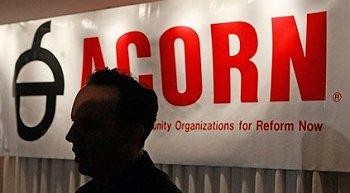 The right still thinks ACORN exists