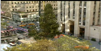 2012 tree arrives on Rockefeller Plaza (Photo courtesy of NBC NewsChannel)