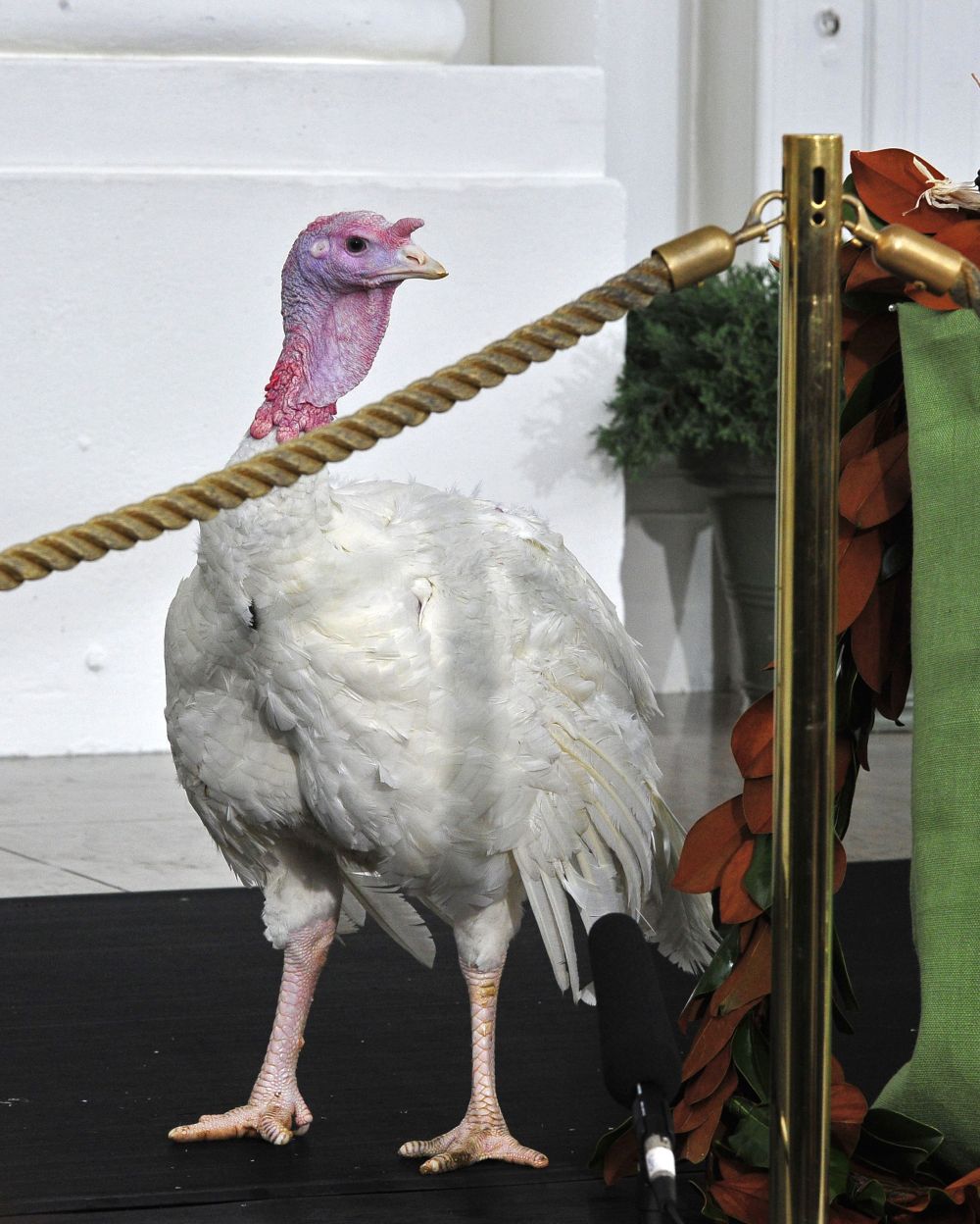 Manadatory Credit: Photo by Rex Features (1503889i)...