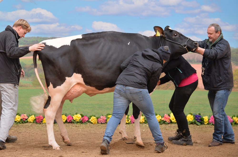 42nd 'Exhibit of the Best' agricultural show, Germany