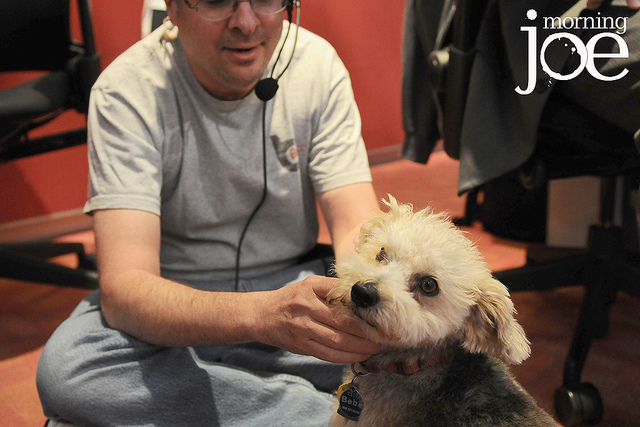 This is what happens when a dog visits Morning Joe