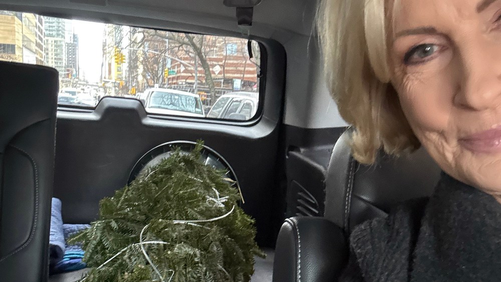 Mika Brzezinski in her car with the Christmas Tree she bought.