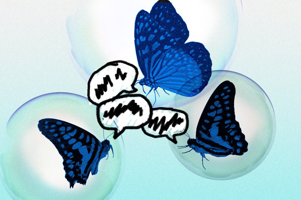 An illustration of butterflies yelling at each other from individual bubbles