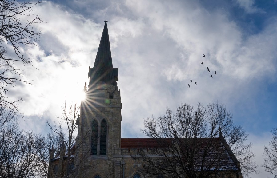 Sun glares from behind a church. A flock of birds fly out of frame.