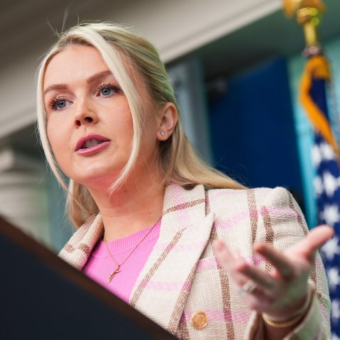 White House Press Secretary Karoline Leavitt speaks during a news briefing.