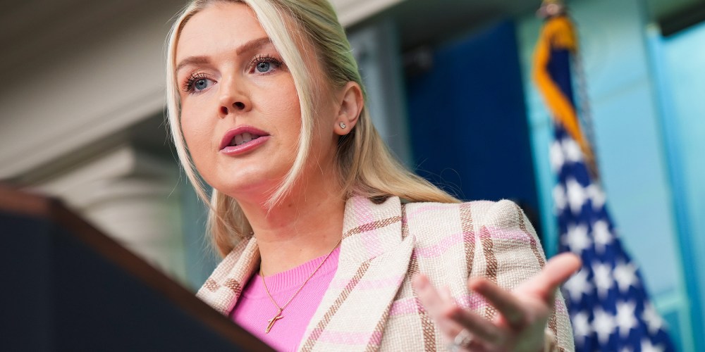 White House Press Secretary Karoline Leavitt speaks during a news briefing.